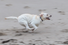 24210238_545104292504814_211977408559493310_o